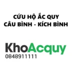 Ắc quy Đồng Nai Pinaco 12V 35AH NS40R - Ảnh 2
